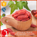 Venda quente de boa qualidade natural wolfberry fruit